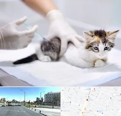 واکسیناسیون حیوانات در بلوار کلاهدوز مشهد