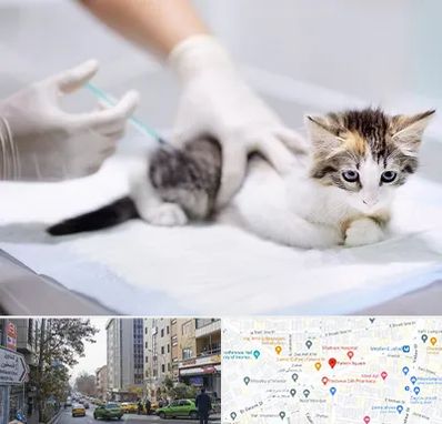 واکسیناسیون حیوانات در فاطمی 