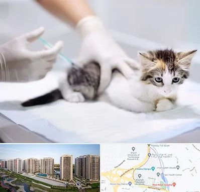 واکسیناسیون حیوانات در المپیک 