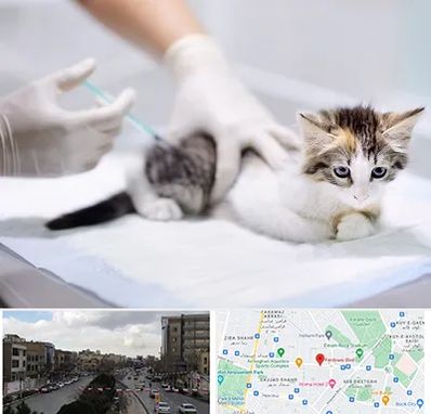 واکسیناسیون حیوانات در بلوار فردوسی مشهد