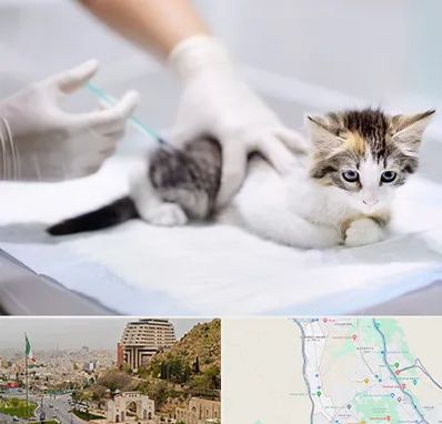 واکسیناسیون حیوانات در فرهنگ شهر شیراز