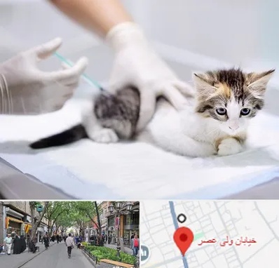 واکسیناسیون حیوانات در ولیعصر شهریار