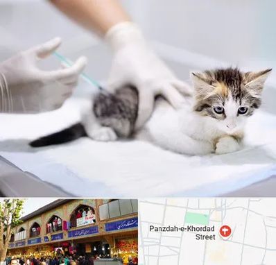 واکسیناسیون حیوانات در 15 خرداد