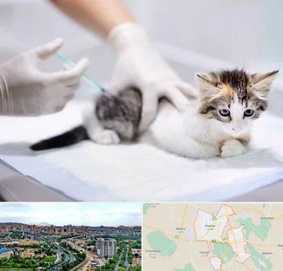 واکسیناسیون حیوانات در شهریار