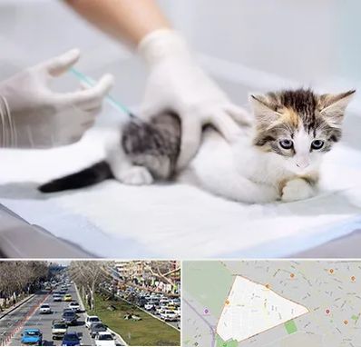 واکسیناسیون حیوانات در احمدآباد مشهد