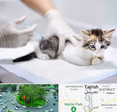 واکسیناسیون حیوانات در تجریش 