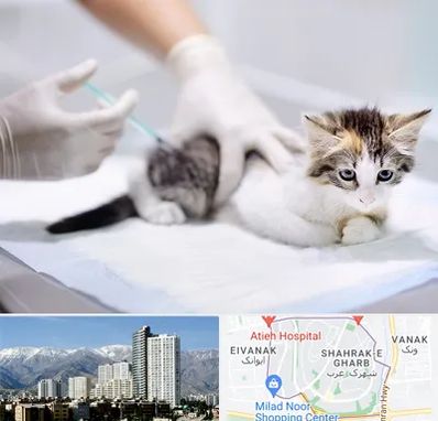 واکسیناسیون حیوانات در شهرک غرب 