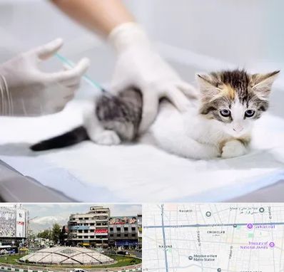 واکسیناسیون حیوانات در مرکز تهران