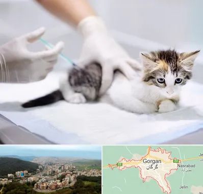 واکسیناسیون حیوانات در گرگان