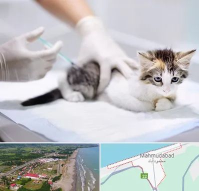 واکسیناسیون حیوانات در محمودآباد