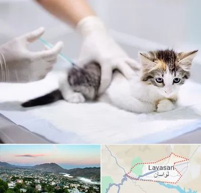 واکسیناسیون حیوانات در لواسان