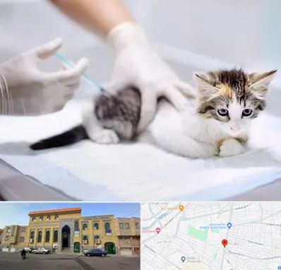 واکسیناسیون حیوانات در زنبیل آباد قم