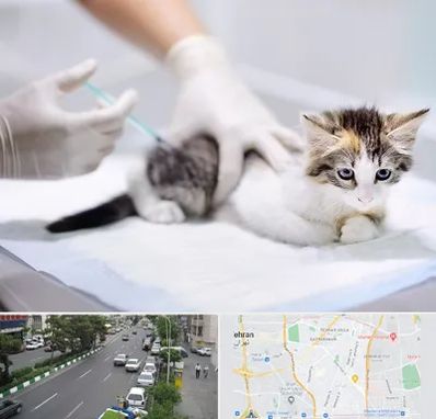 واکسیناسیون حیوانات در ستارخان 