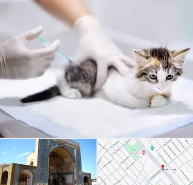واکسیناسیون حیوانات در مصلی مشهد