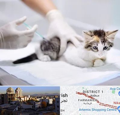 واکسیناسیون حیوانات در فرمانیه 