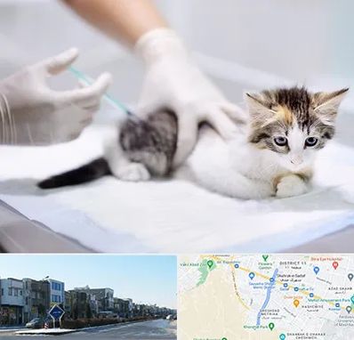 واکسیناسیون حیوانات در شریعتی مشهد