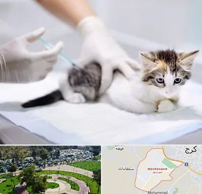 واکسیناسیون حیوانات در مهرشهر کرج 