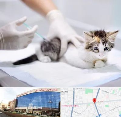 واکسیناسیون حیوانات در نصف راه تبریز