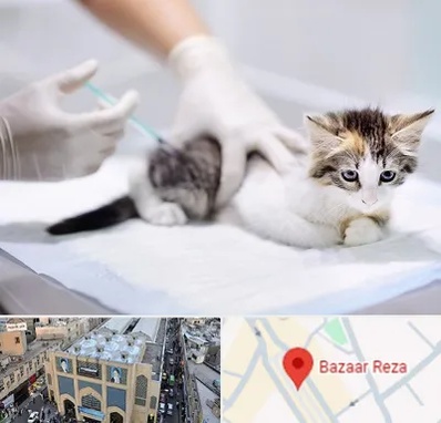 واکسیناسیون حیوانات در بازار رضا مشهد