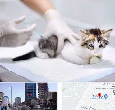 واکسیناسیون حیوانات در چهارراه طالقانی کرج