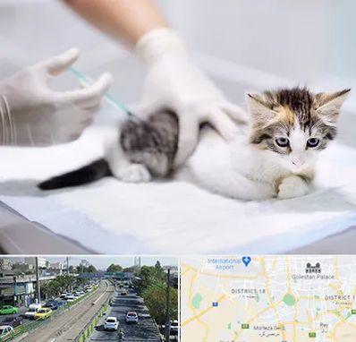 واکسیناسیون حیوانات در جنوب تهران 