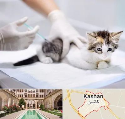 واکسیناسیون حیوانات در کاشان