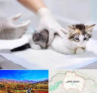 واکسیناسیون حیوانات در خراسان شمالی