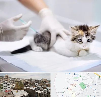 واکسیناسیون حیوانات در شمیران نو