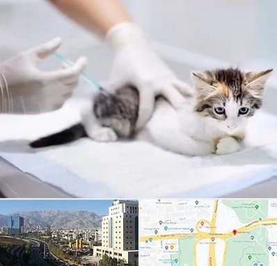 واکسیناسیون حیوانات در حقانی 