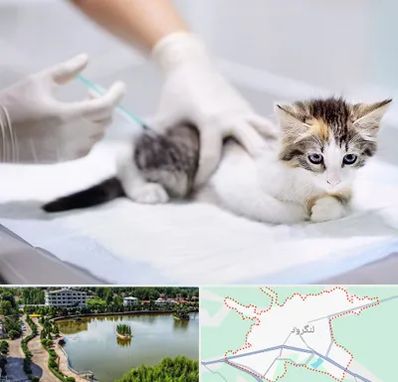 واکسیناسیون حیوانات در لنگرود