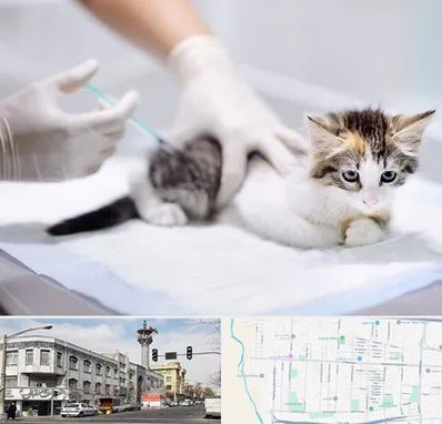 واکسیناسیون حیوانات در 17شهریور