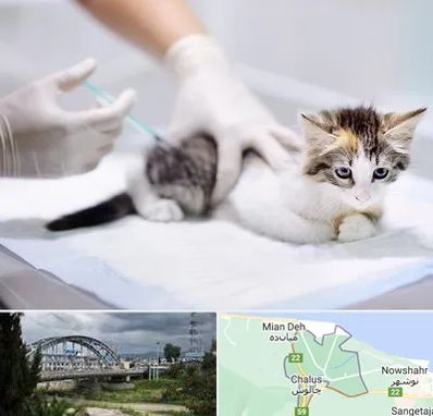 واکسیناسیون حیوانات در چالوس