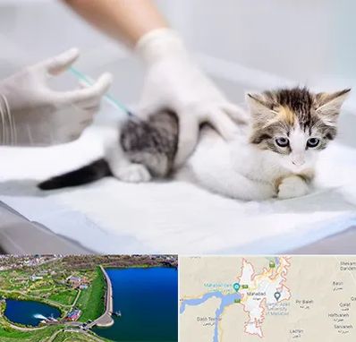 واکسیناسیون حیوانات در مهاباد