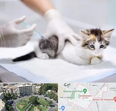 واکسیناسیون حیوانات در جهانشهر کرج 