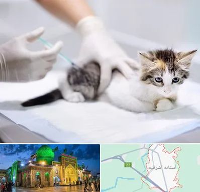 واکسیناسیون حیوانات در آستانه اشرفیه