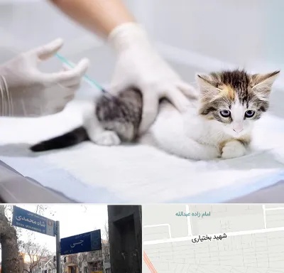 واکسیناسیون حیوانات در سی متری جی