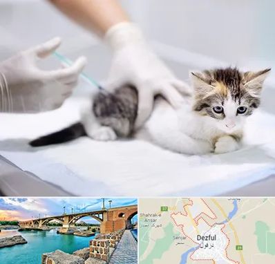 واکسیناسیون حیوانات در دزفول