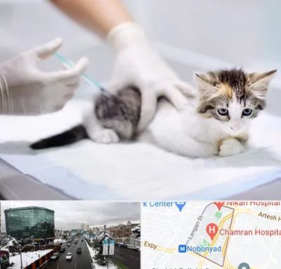 واکسیناسیون حیوانات در اقدسیه 