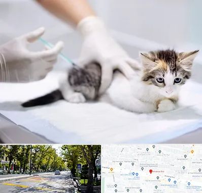 واکسیناسیون حیوانات در میرداماد 