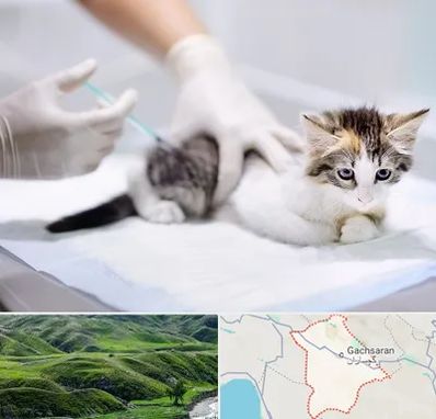 واکسیناسیون حیوانات در گچساران