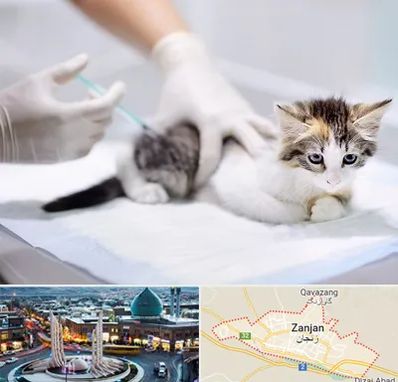 واکسیناسیون حیوانات در زنجان