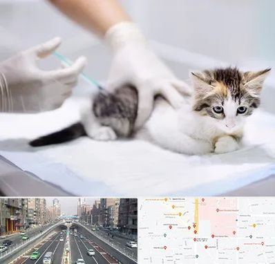 واکسیناسیون حیوانات در توحید 