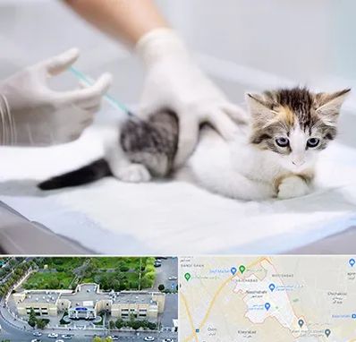 واکسیناسیون حیوانات در نسیم شهر