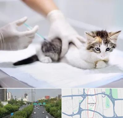 واکسیناسیون حیوانات در توانیر