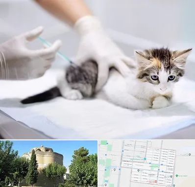 واکسیناسیون حیوانات در مرداویج اصفهان