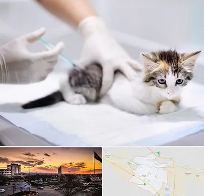 واکسیناسیون حیوانات در قوچان