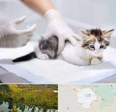 واکسیناسیون حیوانات در بهبهان