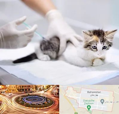 واکسیناسیون حیوانات در بهارستان