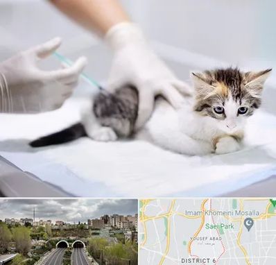 واکسیناسیون حیوانات در یوسف آباد 