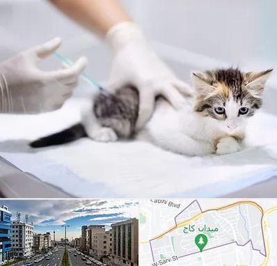 واکسیناسیون حیوانات در سعادت آباد 